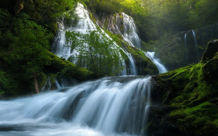 река, panther creek falls, природа, зелень, лес, лето, водопад, сша, весна, river, nature, greens, forest, summer, waterfall, usa, spring