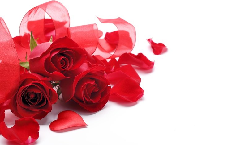 цветы, розы, лепестки, сердечко, красные, ленточки, букет, белый фон, flowers, roses, petals, heart, red, ribbons, bouquet, white background