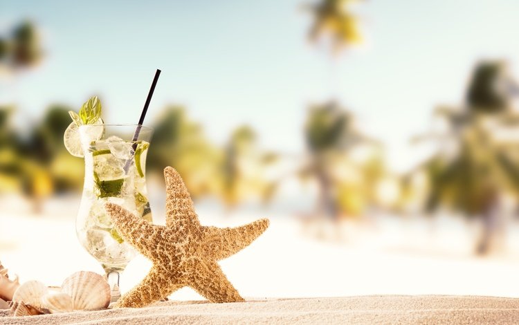 солнце, песка, мохито, море, seashells, песок, каникулы, пляж, летнее, лето, ракушки, коктейль, морская звезда, the sun, mojito, sea, sand, vacation, beach, summer, shell, cocktail, starfish