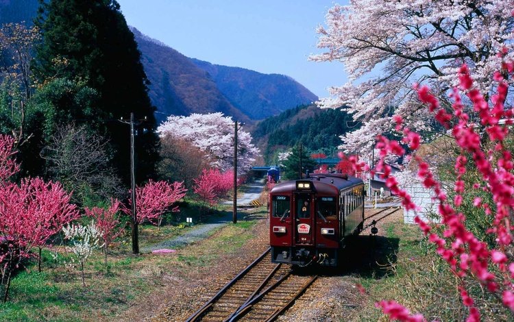 горы, цветение, япония, весна, поезд, префектура гумма, mountains, flowering, japan, spring, train, gunma prefecture