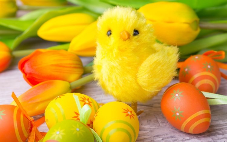 цветы, тюльпаны, пасха, цыплёнок, яйца крашеные, flowers, tulips, easter, chicken, the painted eggs