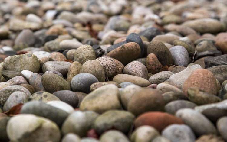 природа, камни, галька, текстура, пляж, камень, milada vigerova, nature, stones, pebbles, texture, beach, stone