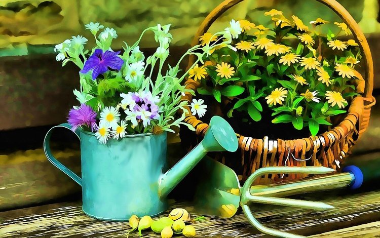 цветы, корзина, натюрморт, лейка, flowers, basket, still life, lake