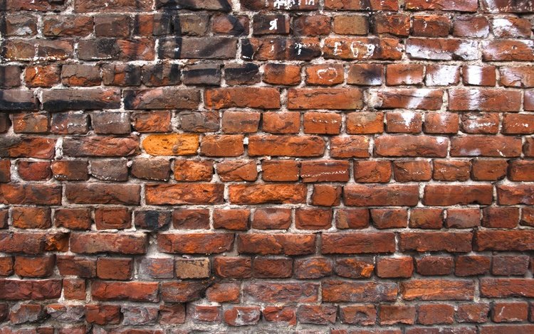 текстура, узор, стена, красный, кирпич, кирпичи, кирпичная стена, texture, pattern, wall, red, brick, bricks, brick wall