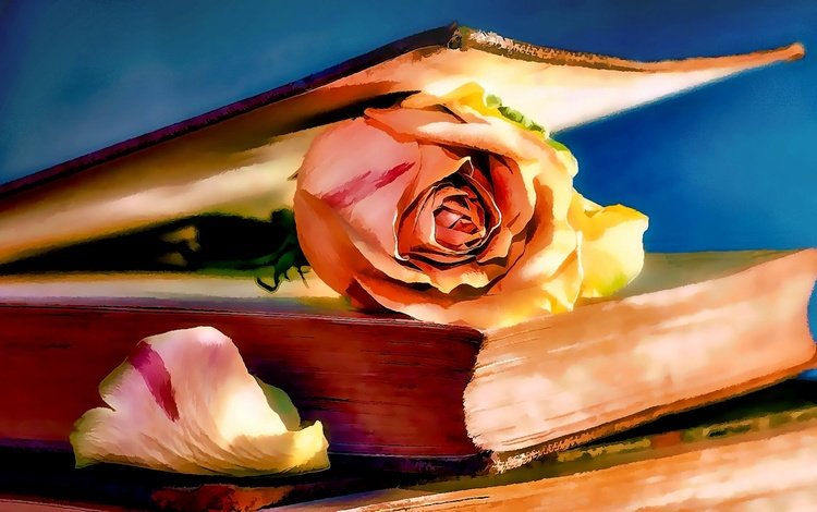 арт, рисунок, цветок, роза, книга, art, figure, flower, rose, book