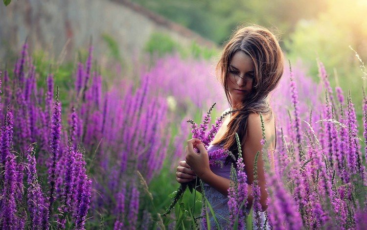 цветы, девушка, лаванда, взгляд, волосы, flowers, girl, lavender, look, hair