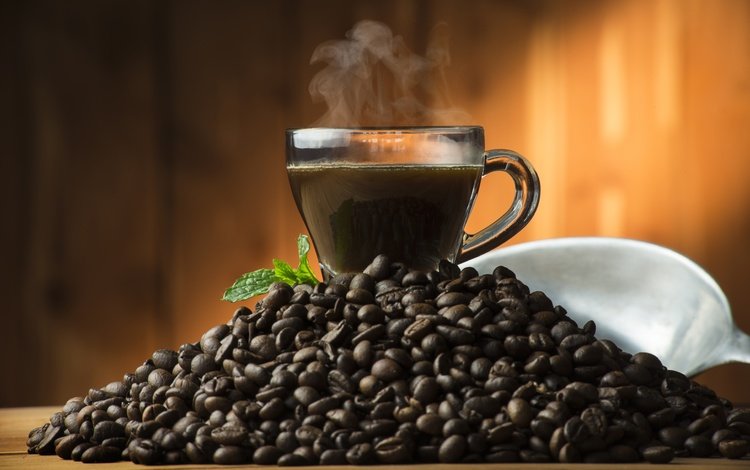 мята, зерна, кофе, чашка, кофейные зерна, mint, grain, coffee, cup, coffee beans