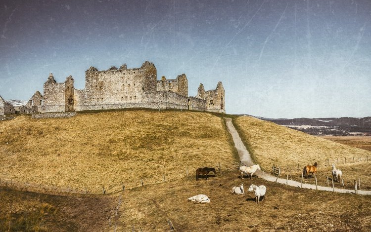 замок, лошади, шотландия, соединенное королевство, ruthven barracks, kingussie, castle, horse, scotland, united kingdom
