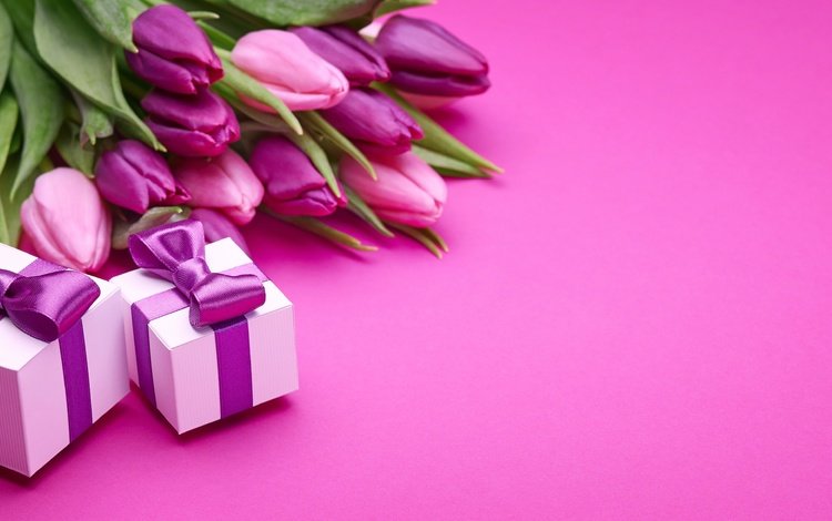 подарки, букет, тюльпаны, розовые, романтик, бант, gifts, bouquet, tulips, pink, romantic, bow