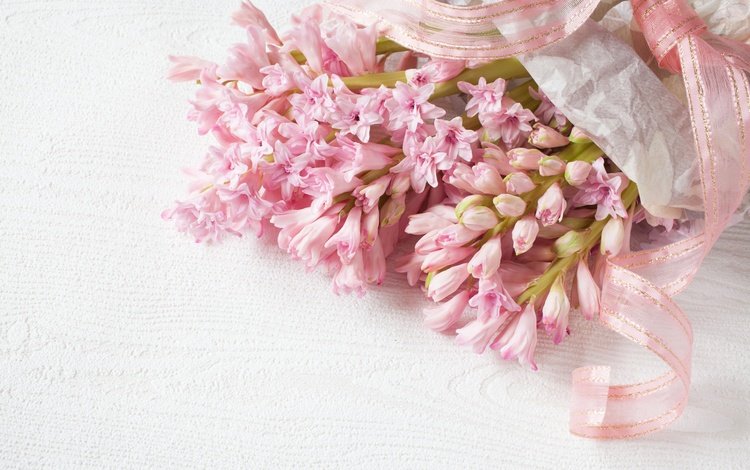 цветы, букет, розовые, нежность, лента, гиацинт, flowers, bouquet, pink, tenderness, tape, hyacinth