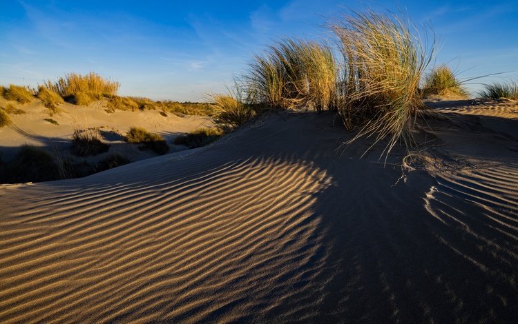 трава, песок, франция, дюны, ле гро-дю-руа, grass, sand, france, dunes, le grau-du-roi