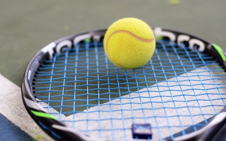 спорт, мяч, теннис, ракетка, sport, the ball, tennis, racket