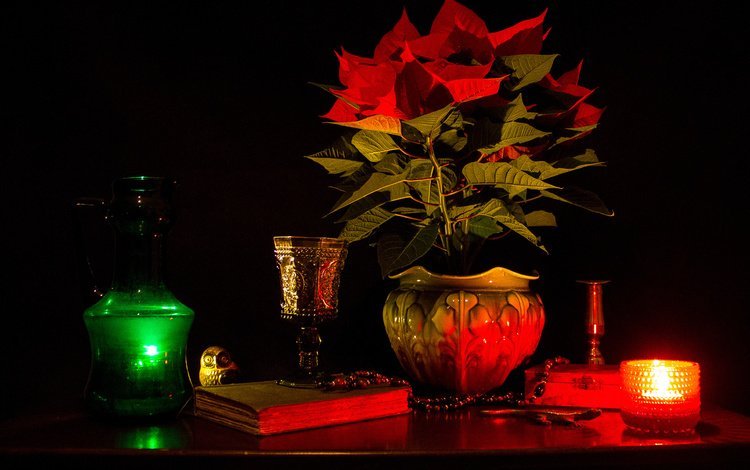мрак, цветок, растение, ваза, свеча, книга, натюрморт, горшок, the darkness, flower, plant, vase, candle, book, still life, pot