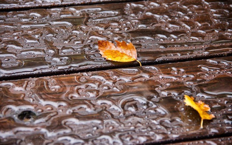 вода, листья, капли, осень, капли дождя, осенние листья, деревянная поверхность, water, leaves, drops, autumn, raindrops, autumn leaves, wooden surface