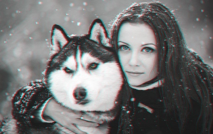 снег, сибирский хаски, девушка, портрет, взгляд, собака, волосы, лицо, хаски, snow, siberian husky, girl, portrait, look, dog, hair, face, husky