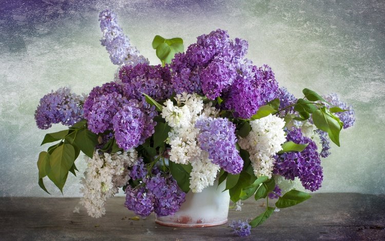 цветы, свежее настроение, ветки, радость, весна, букет, гроздья, сирень, ведро, flowers, fresh mood, branches, joy, spring, bouquet, bunches, lilac, bucket