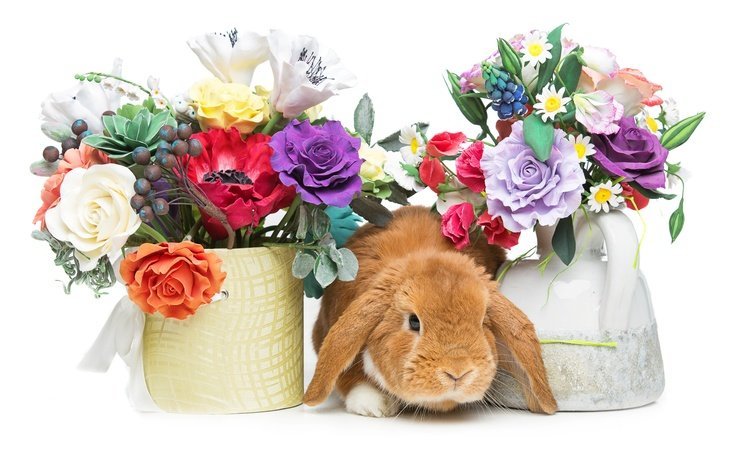 цветы, корзина, кролик, пасха, flowers, basket, rabbit, easter