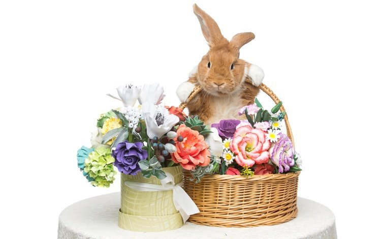 цветы, корзина, кролик, пасха, flowers, basket, rabbit, easter