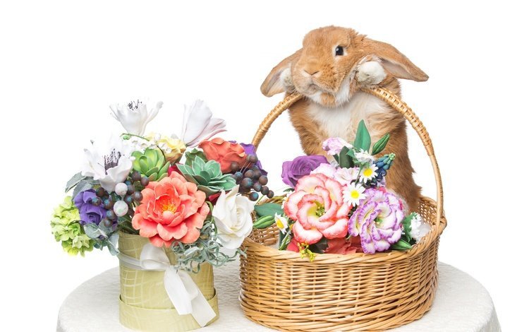 цветы, корзина, кролик, пасха, букеты, flowers, basket, rabbit, easter, bouquets