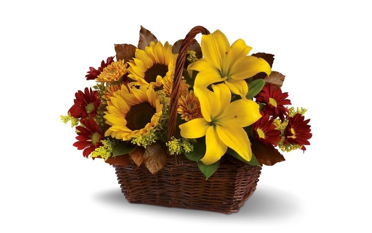 цветы, букет, подсолнухи, белый фон, лилии, желтые, хризантемы, корзинка, flowers, bouquet, sunflowers, white background, lily, yellow, chrysanthemum, basket