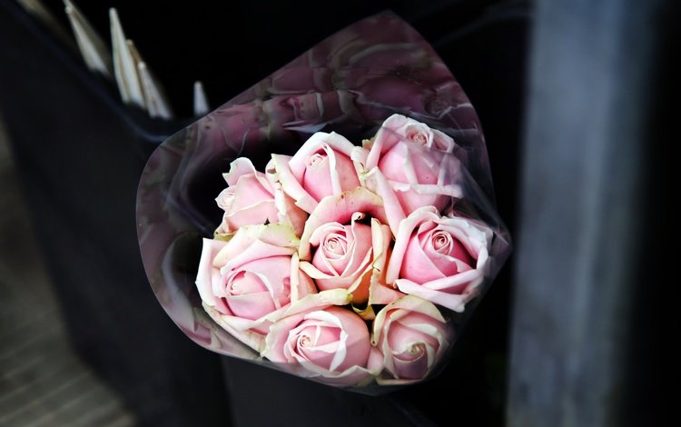 цветы, розы, букет, розовые, flowers, roses, bouquet, pink