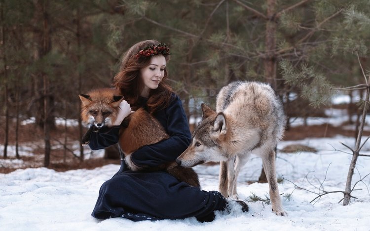 снег, природа, лес, девушка, животные, лиса, волосы, волк, snow, nature, forest, girl, animals, fox, hair, wolf