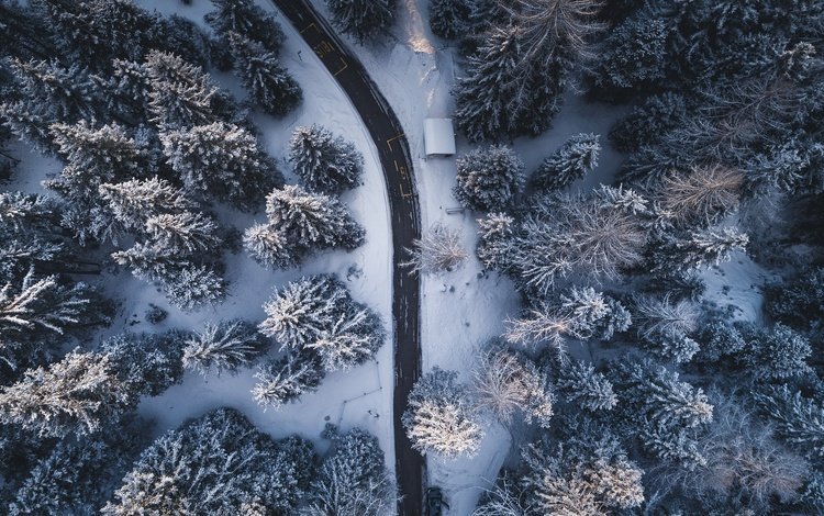 дорога, деревья, природа, лес, зима, вид сверху, road, trees, nature, forest, winter, the view from the top