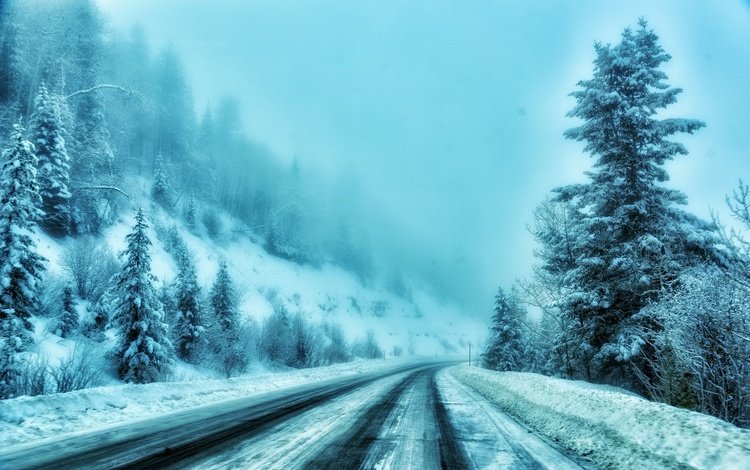 дорога, деревья, снег, зима, туман, road, trees, snow, winter, fog