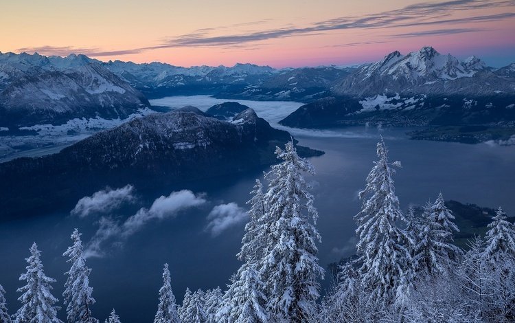 деревья, горы, природа, зима, швейцария, альпы, trees, mountains, nature, winter, switzerland, alps
