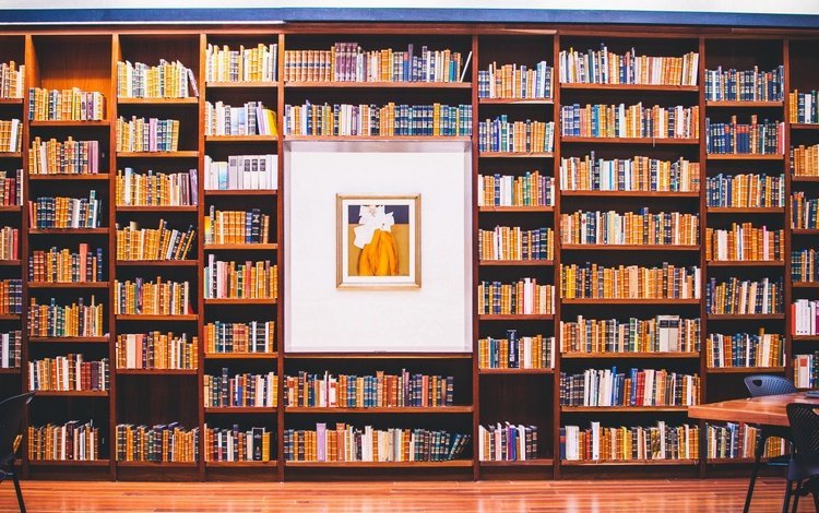 картина, книги, много, библиотека, книга, полки, picture, books, a lot, library, book, shelves