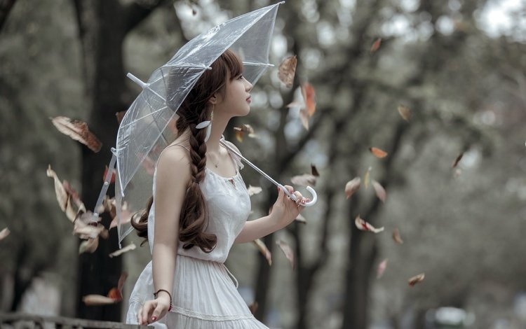 природа, азиатка, листья, косички, девушка, настроение, платье, взгляд, осень, зонт, nature, asian, leaves, braids, girl, mood, dress, look, autumn, umbrella