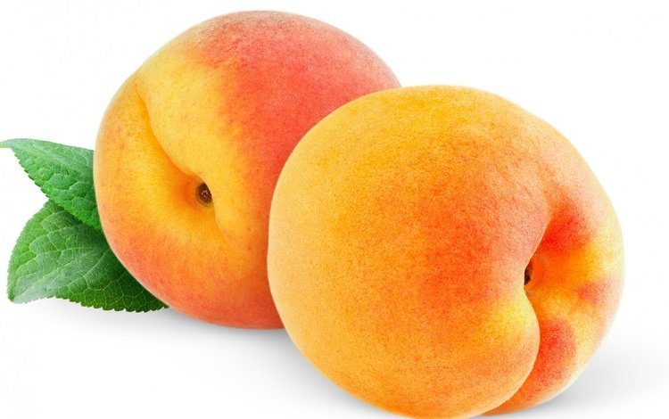 макро, фрукты, лист, персики, macro, fruit, sheet, peaches