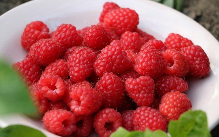 малина, ягоды, урожай, тарелка, raspberry, berries, harvest, plate