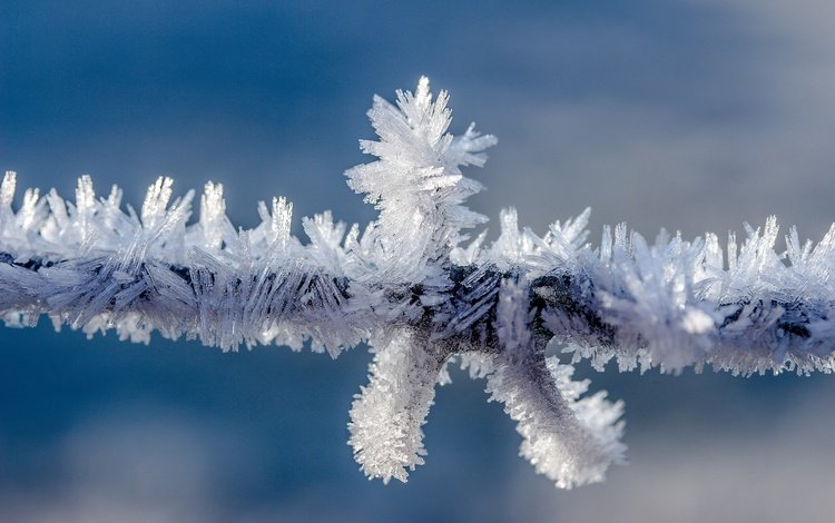 природа, зима, мороз, проволока, иней, колючая проволока, провод, кристаллы, nature, winter, frost, wire, barbed wire, crystals