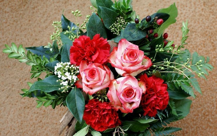 цветы, роза, лепестки, букет, гвоздика, flowers, rose, petals, bouquet, carnation