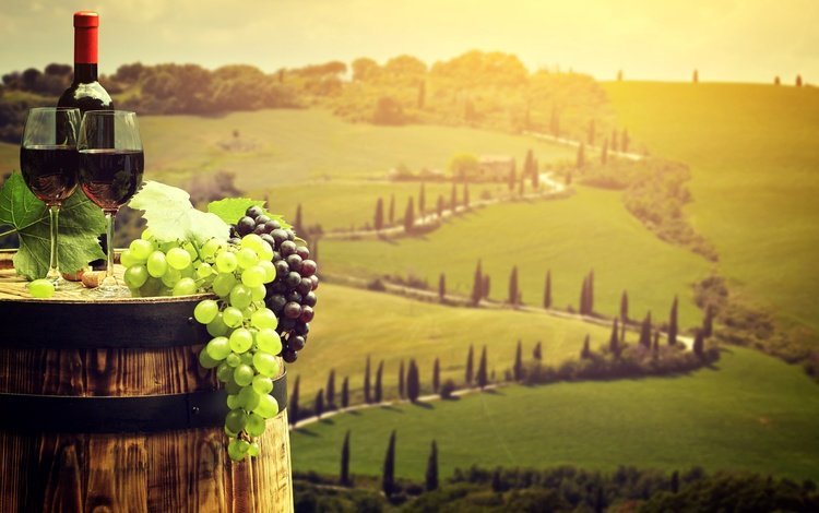 виноград, тоскана, пейзаж, поля, италия, вино, бутылка, бокалы, бочка, grapes, tuscany, landscape, field, italy, wine, bottle, glasses, barrel