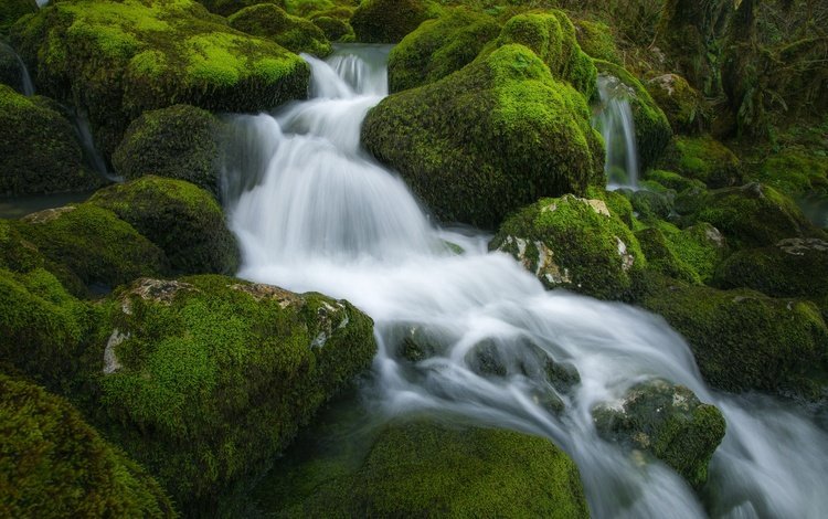 вода, камни, поток, мох, water, stones, stream, moss
