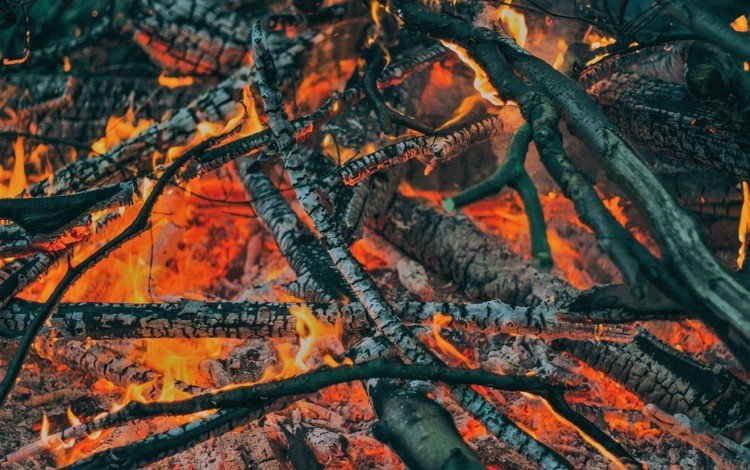 пламя, огонь, угли, костёр, дрова, flame, fire, coal, the fire, wood