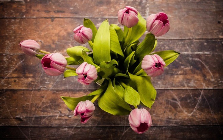 цветы, вид сверху, букет, тюльпаны, розовые, деревянная поверхность, flowers, the view from the top, bouquet, tulips, pink, wooden surface