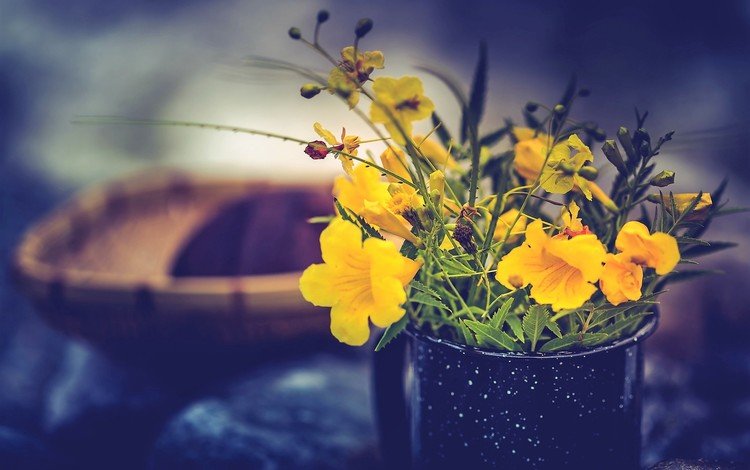 цветы, кружка, желтые, букетик, flowers, mug, yellow, a bunch