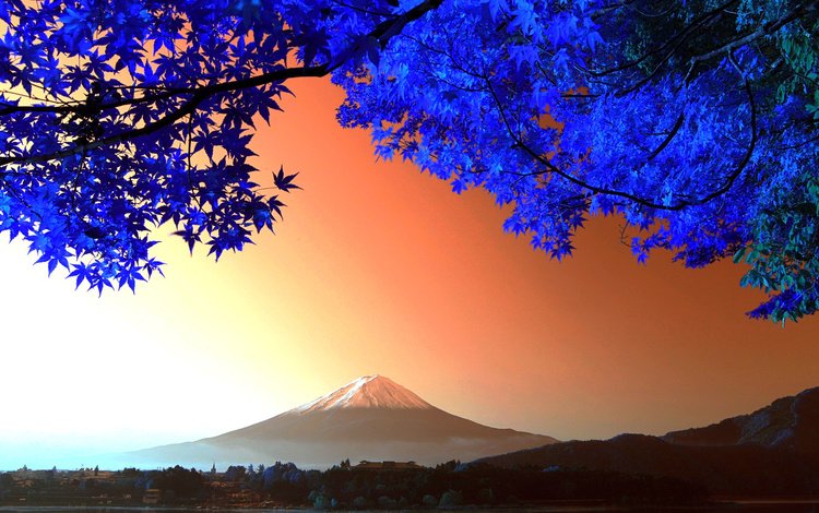 дерево, листья, гора, япония, вулкан, фудзияма, tree, leaves, mountain, japan, the volcano, fuji