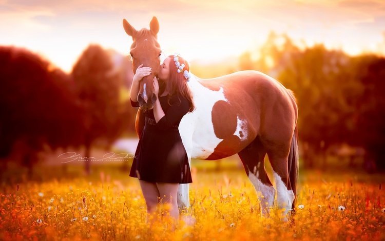 лошадь, природа, девушка, платье, поле, конь, венок, солнечный свет, horse, nature, girl, dress, field, wreath, sunlight