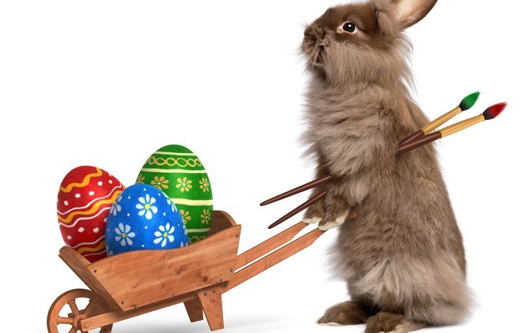 кролик, пасха, яйца, кисти, крашенные яйца, rabbit, easter, eggs, brush, painted eggs