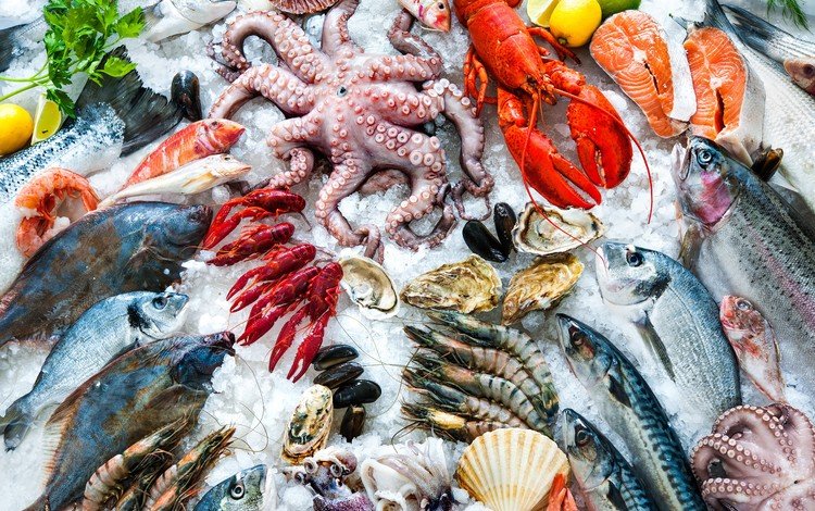 осьминог, омар, лёд, лимон, рыба, морепродукты, креветки, петрушка, раки, octopus, omar, ice, lemon, fish, seafood, shrimp, parsley, cancers