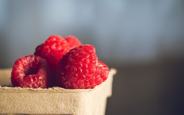 макро, фон, малина, ягоды, macro, background, raspberry, berries