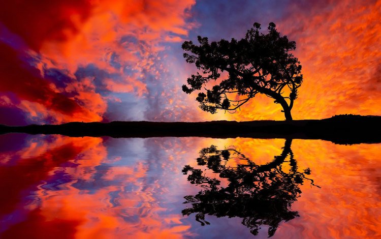 небо, вода, природа, дерево, закат, отражение, the sky, water, nature, tree, sunset, reflection