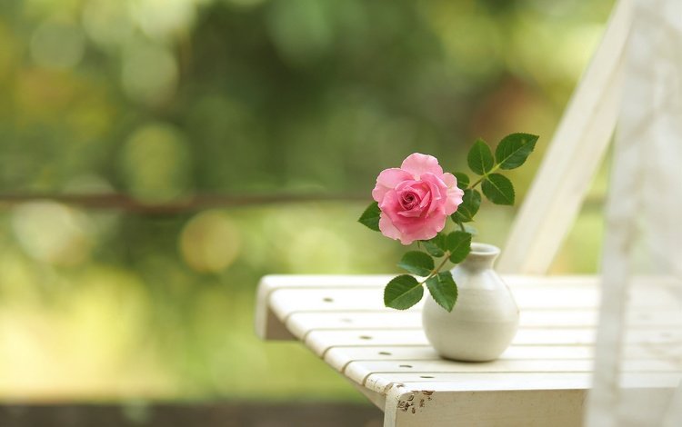 цветы, роза, стул, боке, вазочка, flowers, rose, chair, bokeh, vase