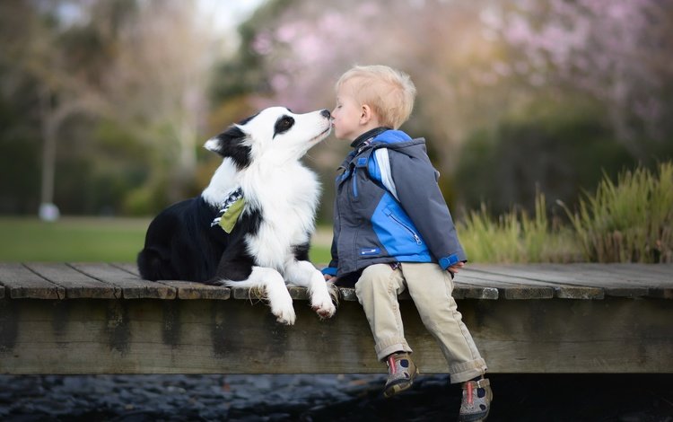 настроение, собака, дети, мальчик, поцелуй, друзья, бордер-колли, mood, dog, children, boy, kiss, friends, the border collie