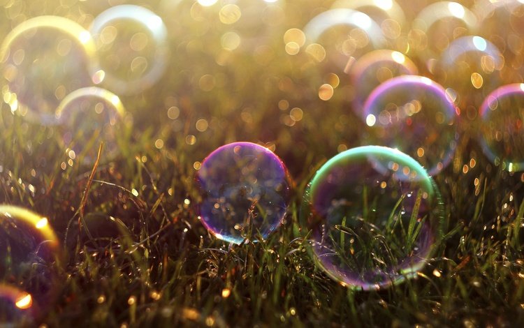 трава, цветные, пузырьки, мыльные пузыри, боке, мыльный пузырь, grass, colored, bubbles, bokeh, bubble
