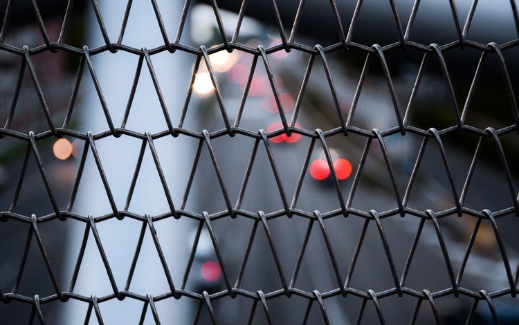 макро, проволока, забор, сетка, macro, wire, the fence, mesh